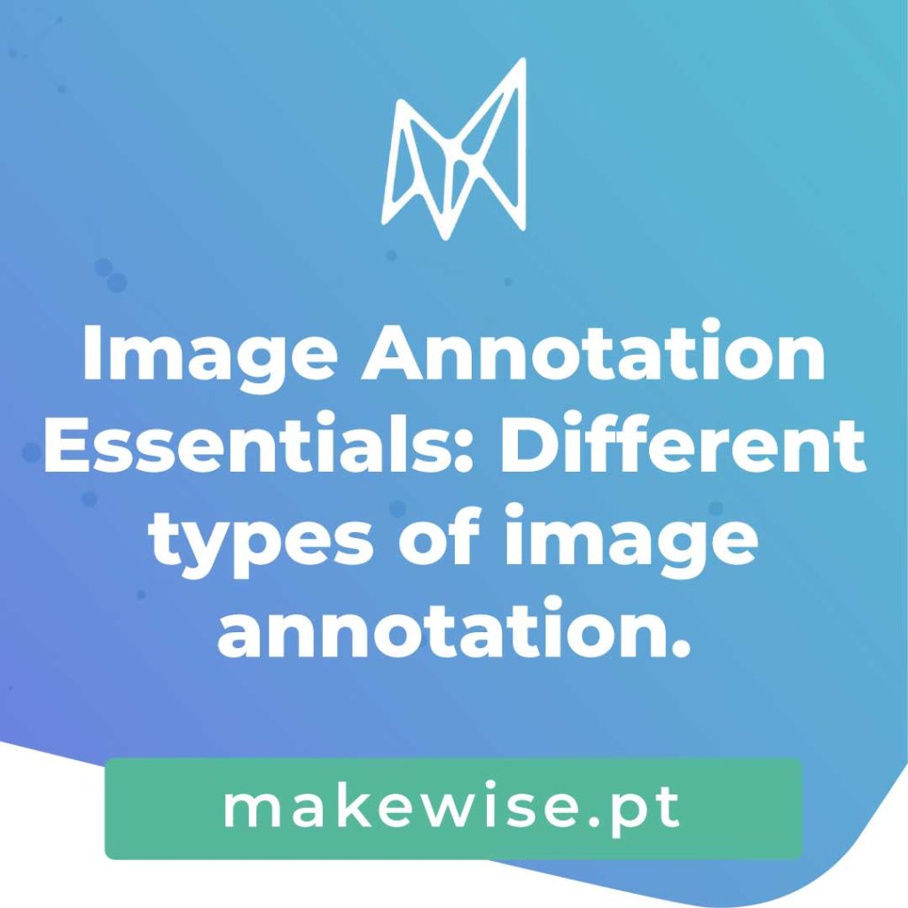 Image Annotation Essentials: Different types of image annotation.