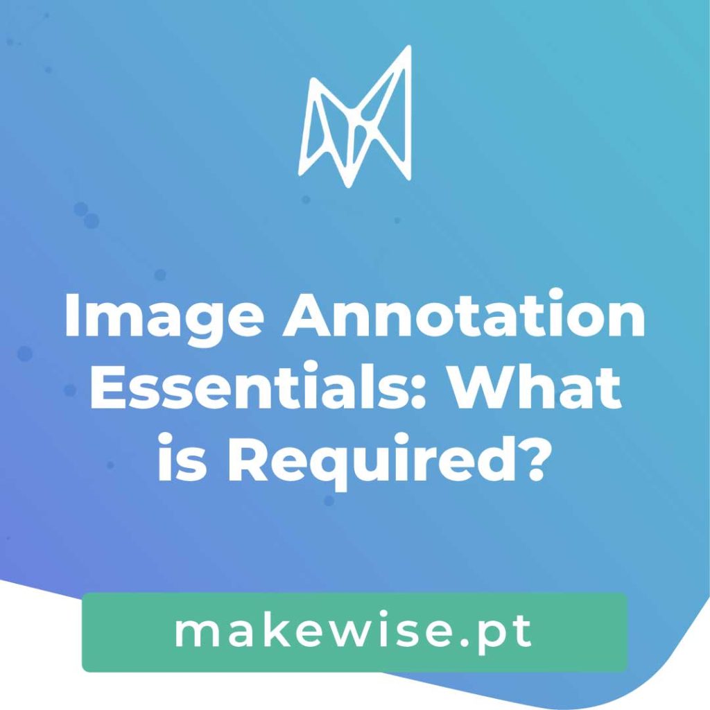 Image Annotation Essentials: What is Required?