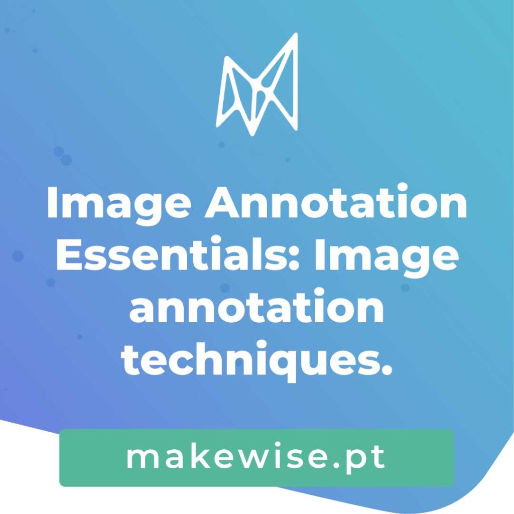 Image Annotation Essentials: Image annotation techniques.